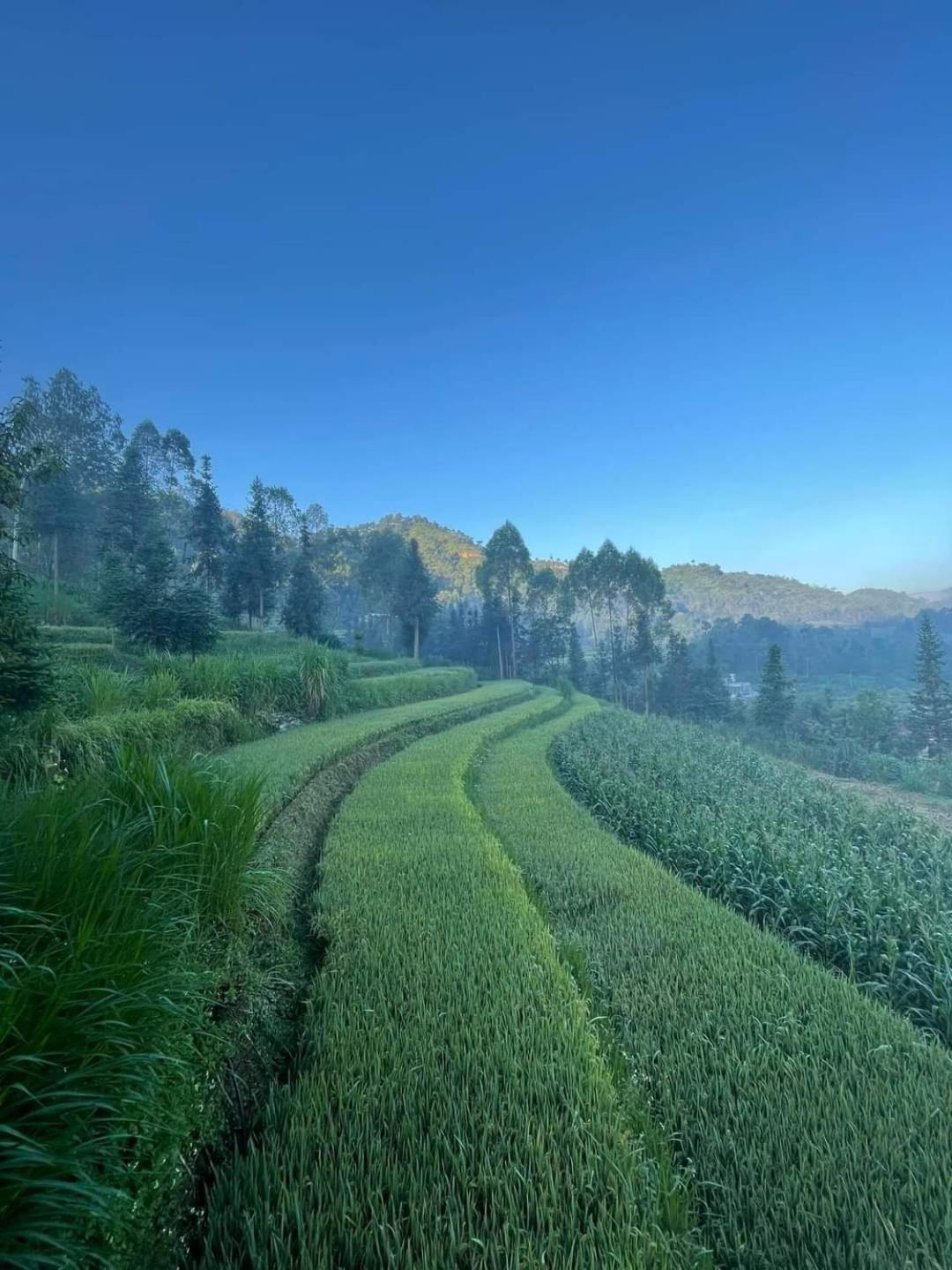 Dong Van Hmong Homestay Exteriör bild